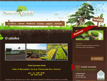 Tablet Screenshot of naturalna-zielen.pl
